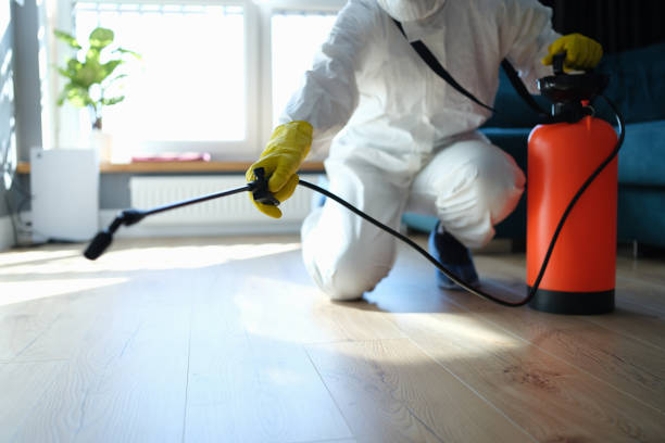 Reliable Hoarding Cleanup contractor in Olney, IL by Trauma Clean Pros